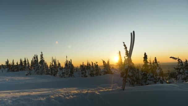 Modern skies stuck in snow against pine trees at sunset — Stock Video