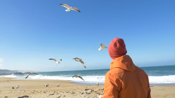 사람은 해변에 앉아 바다를 향해 하얀 갈매기를 먹이고 있다 — 비디오