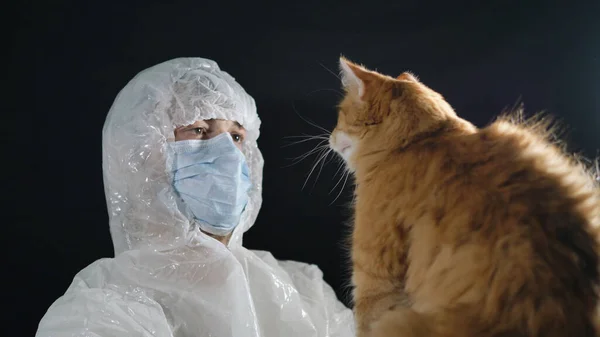 Ginger cat paw vet in the face. Male virologist in a protective suit and medical mask holds a wild cat in his hands.