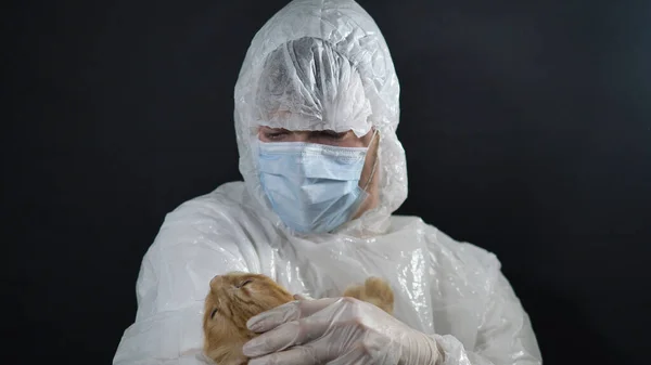 Ветеринар у костюмі та масці заспокоює червоного кота перед операцією під час пандемії коронавірусу — стокове фото