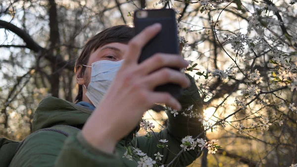 Людина в медичній масці бере селфі на смартфон, щоб розквітати яблуню на заході сонця, епідемія коронавірусу — стокове фото