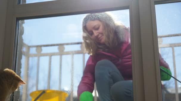 Femme lave fenêtre sur balcon chat rouge regarde à l'intérieur — Video