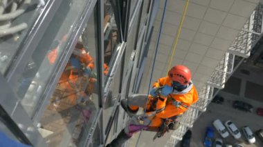 Endüstriyel tırmanışçı, çok katlı binanın pencerelerini yosun kaplı, yavaş çekimde yıkıyor.