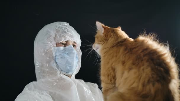 Ginger cat paw vet en la cara. Virólogo masculino con traje protector y máscara médica sostiene a un gato salvaje en sus manos . — Vídeos de Stock