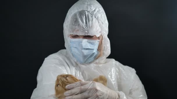 在大肠病毒大流行期间，穿着西服、戴口罩的兽医在手术前安抚红猫 — 图库视频影像