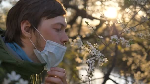 Chlap odstraňuje lékařskou masku a očichává kvetoucí strom jablek nebo třešně při západu slunce zblízka — Stock video