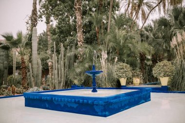 Beautiful cactus garden with a fountain. Jardin Majorelle Marrakech clipart