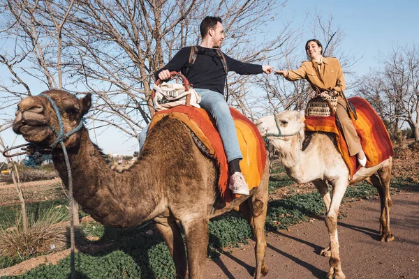 Jovem Casal Montando Camelos — Fotografia de Stock