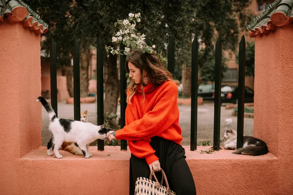 Young Woman Red Pullover Sitting Cats — Stock Photo, Image