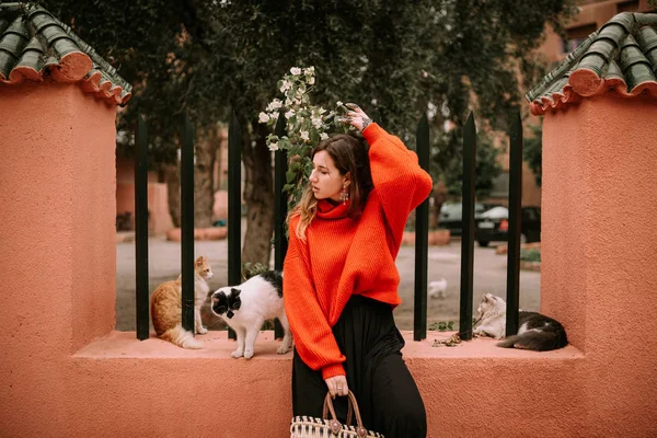 Young Woman Red Pullover Sitting Cats — Stock Photo, Image