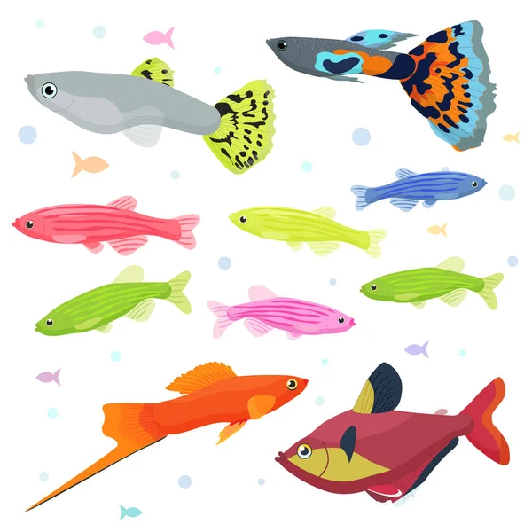 Havsfiskar: stor samling av mycket detaljerade illustrationer med tropiska tank fiskar. — Stock vektor