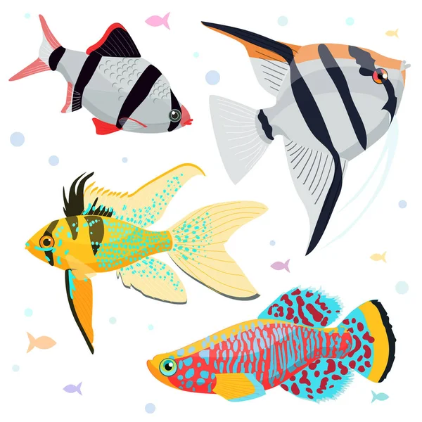 Acuario de peces: gran colección de ilustraciones muy detalladas con peces tanque tropical . — Vector de stock