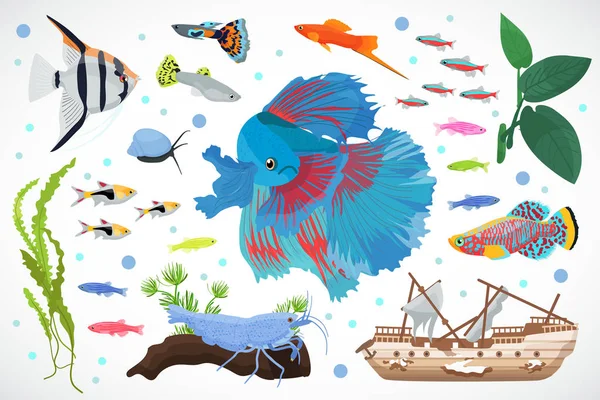 Rybki akwariowe, wodorostów wzór podwodne wektor ilustracja — Wektor stockowy