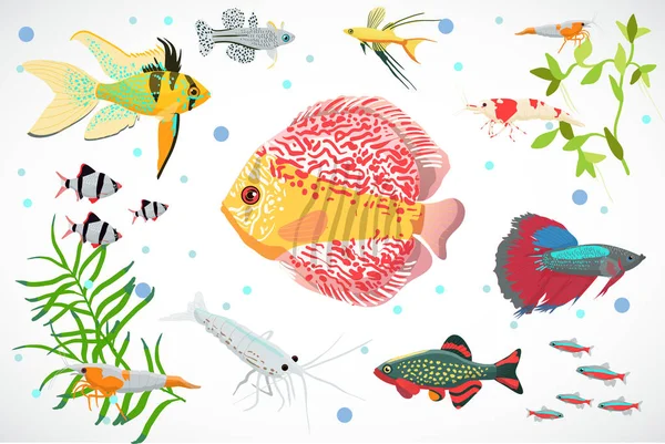 Ενυδρείο ψαριών, φύκι υποβρύχια χωρίς ραφή πρότυπο εικονογράφηση διάνυσμα — Διανυσματικό Αρχείο
