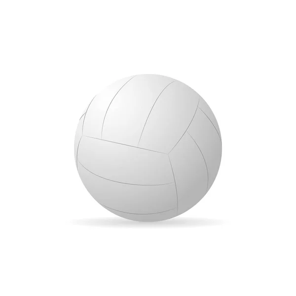 Vector image volleyboll. — Stock vektor