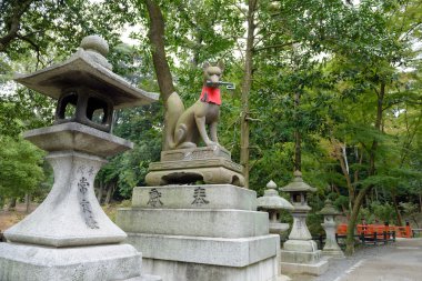 Fox heykel Kyoto