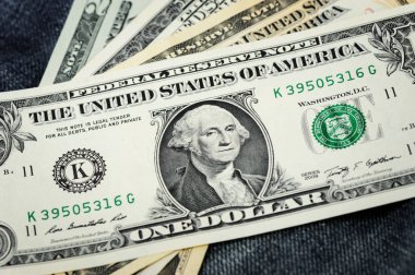 Amerikan Doları faturaları