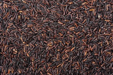 Tayland pirinç berry