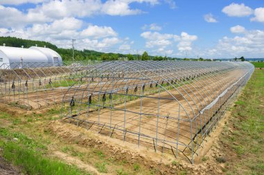 sera yetiştiriciliği