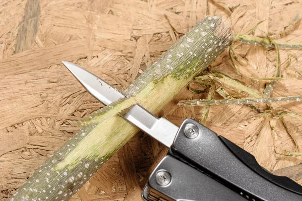 Multifunktionskniv i rostfritt stål — Stockfoto