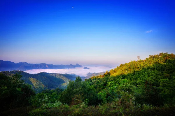 Schöne Naturlandschaft — Stockfoto