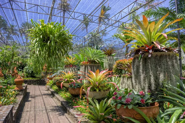 Jardín Nong Nooch — Foto de Stock