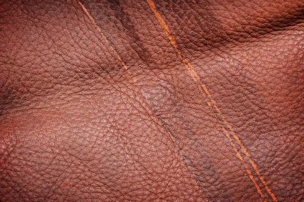 Texture cuir marron — Photo