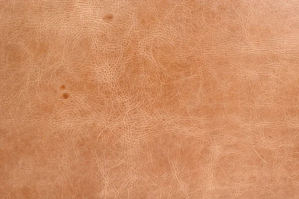 Текстура коричневої шкіри — стокове фото