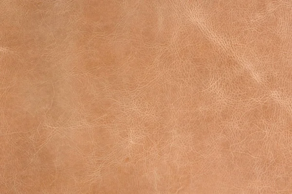 Texture in pelle marrone — Foto Stock