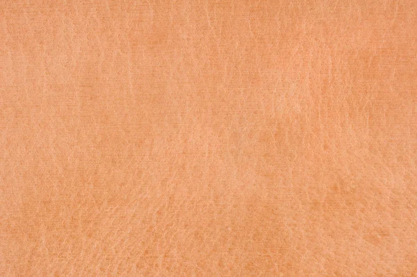 Warzywo opalonej skóry — Zdjęcie stockowe