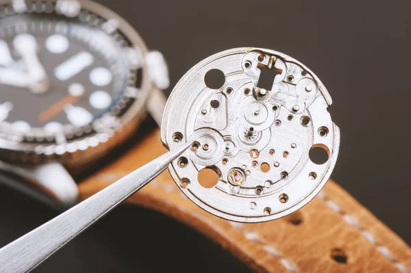 자동 손목 시계 부품 — 스톡 사진