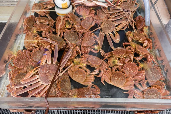 Fresh Giant Crabs Morning Market Hokkaido Japan — Stock Photo, Image