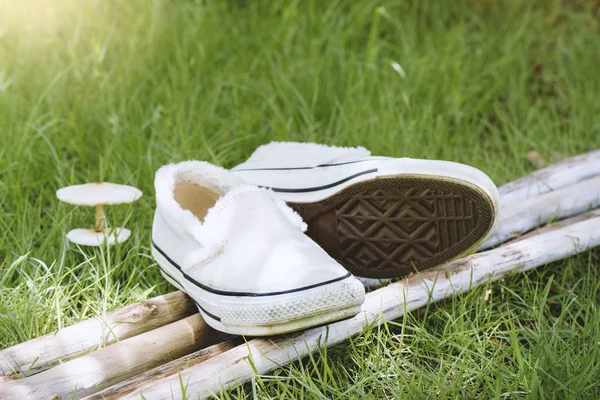 Белые холст кроссовки — стоковое фото