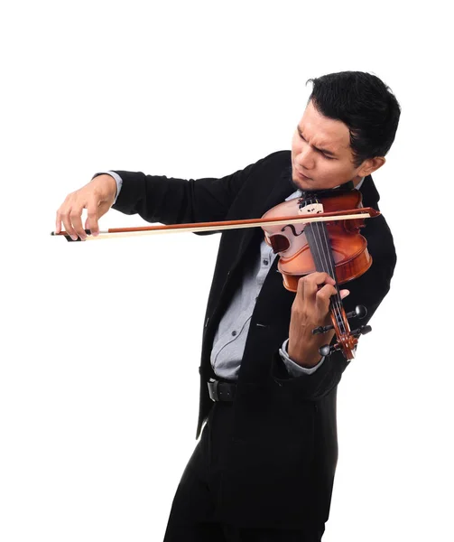 Violinista sobre blanco — Foto de Stock