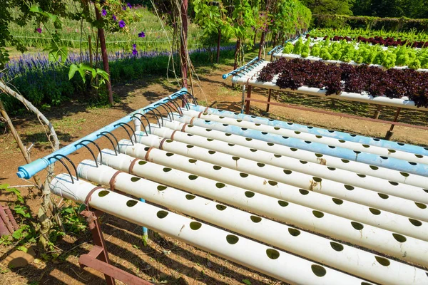 Sistema idroponico di giardinaggio — Foto Stock