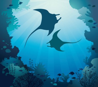 İki mantas silüeti