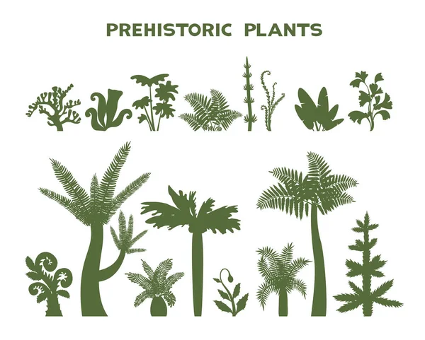 Conjunto de plantas prehistóricas . — Vector de stock