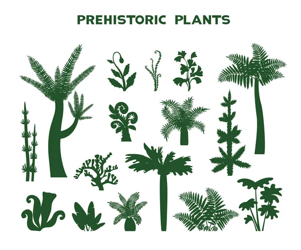 Conjunto de plantas prehistóricas . — Archivo Imágenes Vectoriales