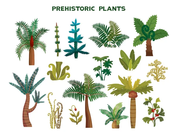 Set of prehistoric plants — Stock Vector