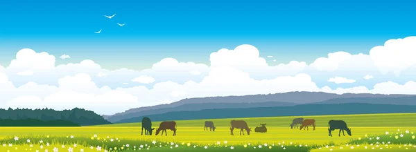 Summer panorama. Landscape with cows, grass, meadow. — Stock Vector