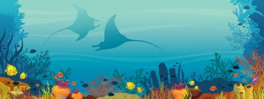 İki mantas, mercan ve balık - sualtı illüstrasyon.