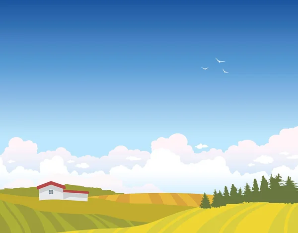 Summer landscape - field, house, clouds, sky — Stock Vector