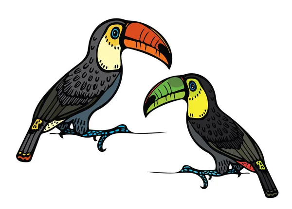 Två grafiska toucan på vit bakgrund. — Stock vektor