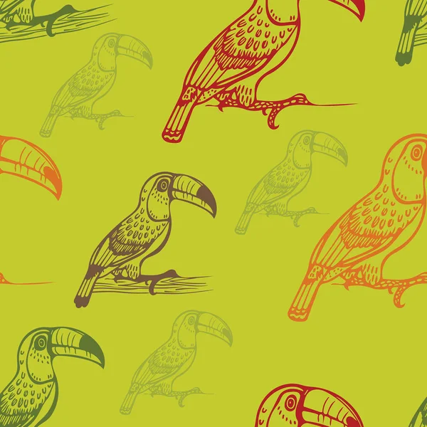 Χωρίς ραφή πρότυπο με toucans. — Διανυσματικό Αρχείο