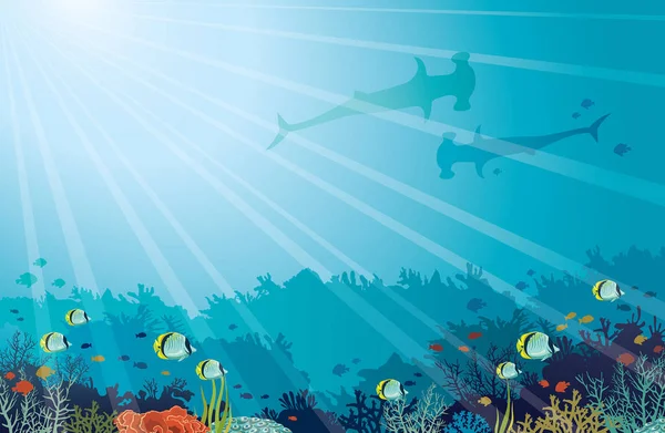 Подводное море - акулы-хаммерхеды, коралловые рифы, рыбы-бабочки . — стоковый вектор