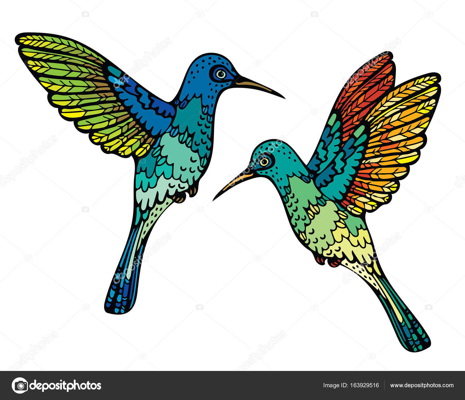 Due colibr¬ grafico colorato su sfondo bianco Illustrazione di vettore con l uccello tropicale — Vettoriali di Natuska Trova immagini simili