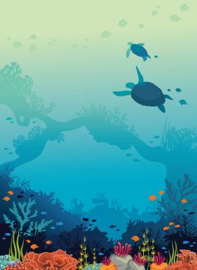 Kaplumbağalar, mercan, balıklar, su altı deniz. 