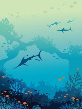 Marlins, sualtı deniz, mercan. 