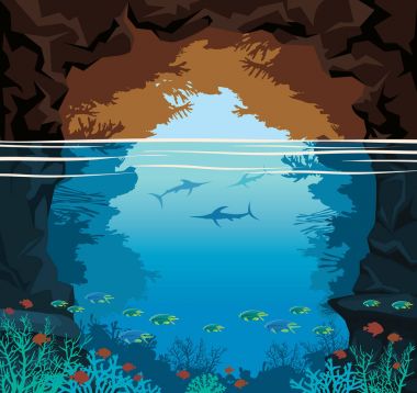 Deniz Mağarası, mercan, marlin balığı, deniz, gökyüzü.