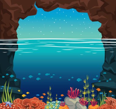 Sualtı deniz - mercan kayalığı, mağara, balık. Gece gökyüzü.
